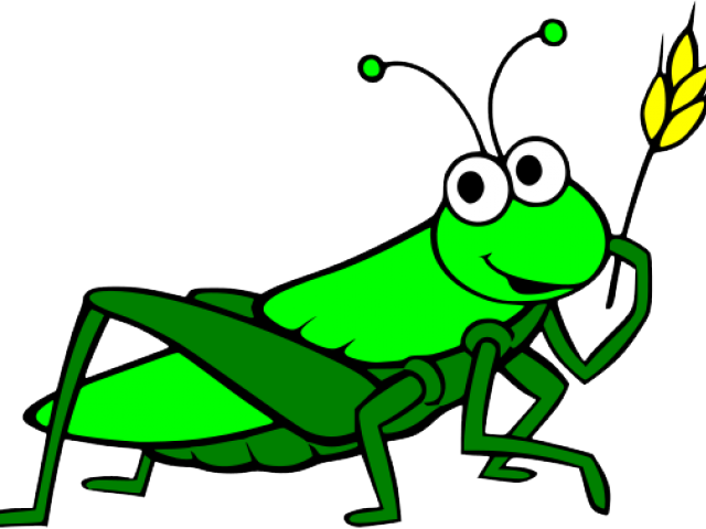 Clip Freeuse Download Grasshopper Clipart Cartoon - Grasshopper Clipart Png (640x480), Png Download