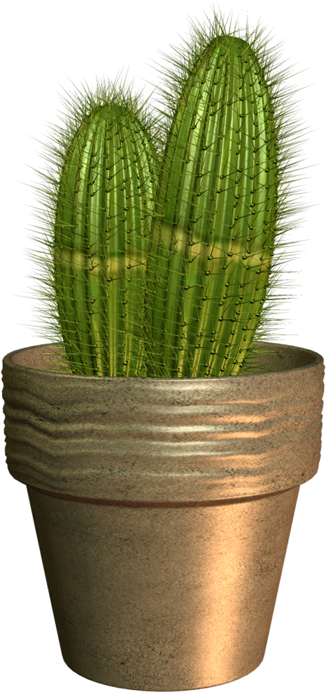 Garden Potplant - Portable Network Graphics (665x1024), Png Download