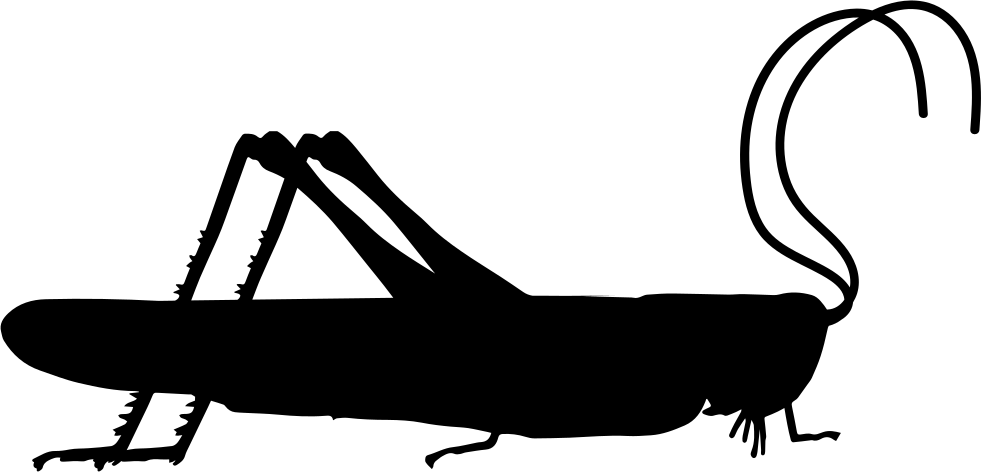 Grasshopper Insect Side View Shape Comments - Grasshopper Symbol (981x472), Png Download