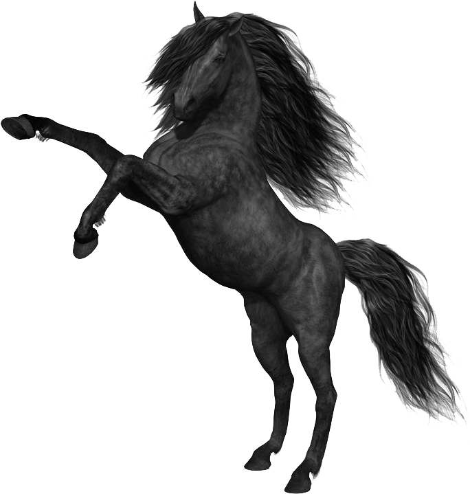 Mustang Horse Png Photos - Black Horse Png (736x750), Png Download