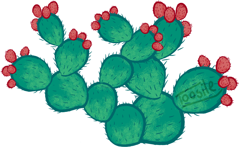 Florecitas 🌷🌷🌷 - Mexico Tumblr Png (905x564), Png Download