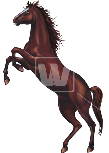 Wild Horse Png - Wild Horses Png (367x550), Png Download