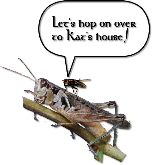 Do I Sound Homesick You Betcha - Locust (510x552), Png Download