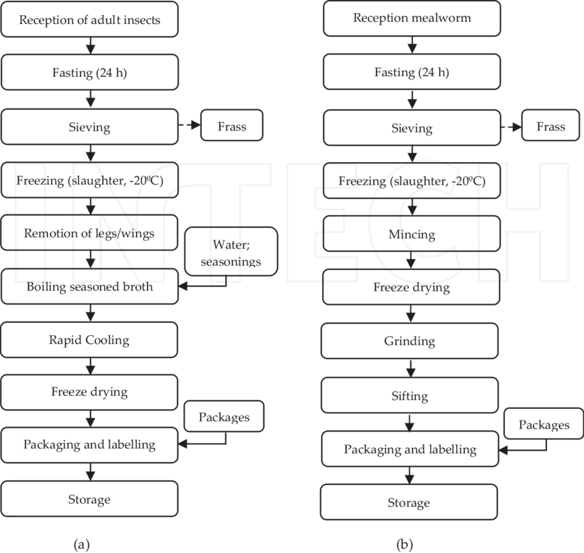 Processing Flowchart Of Cricket/grasshopper Dry Snacks - Cricket (850x805), Png Download