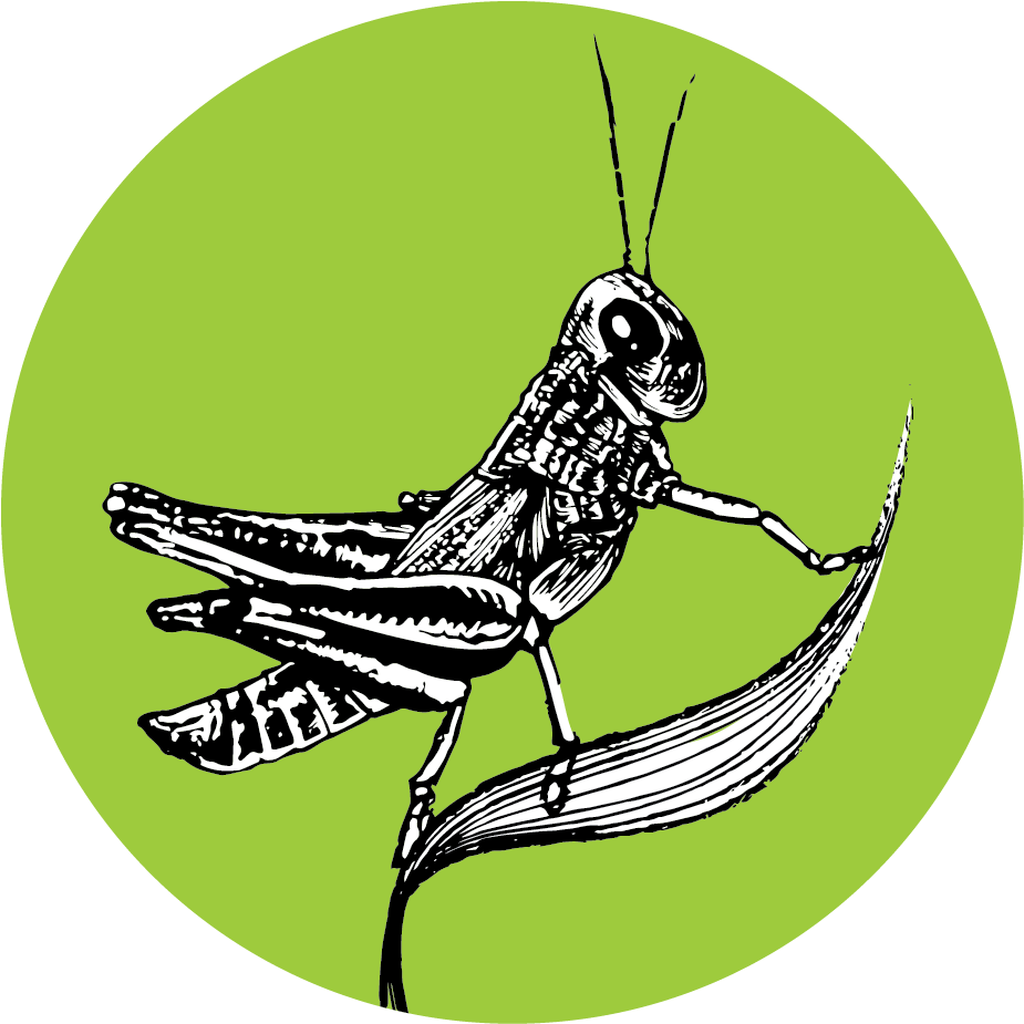 Image Is Not Available - Mail Icon (1016x1016), Png Download