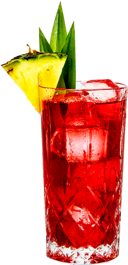 Tanqueray Cranberry Pineapple Gin & Juice - Cocktail With Pineapple Png (493x1078), Png Download