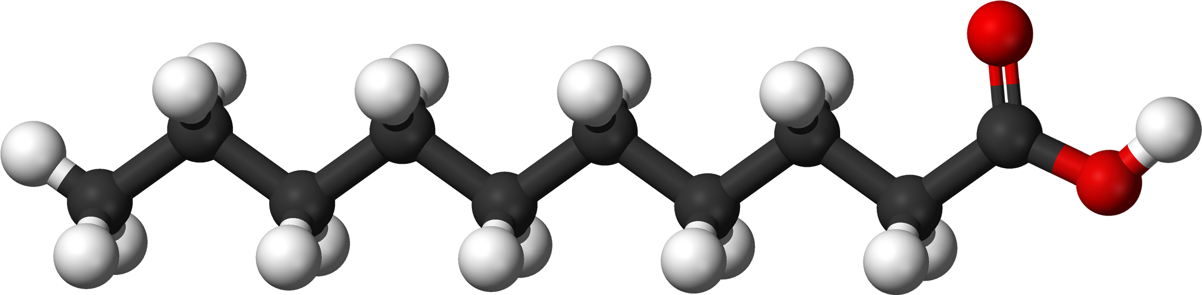 File - Decanoic Ac - Fatty Acid Molecule (2534x797), Png Download
