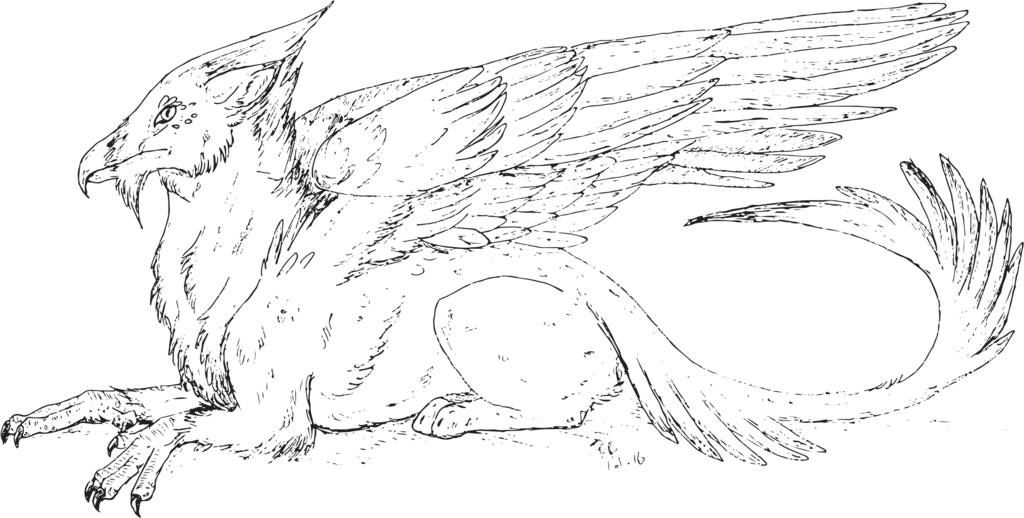 Jpg Free Download Chimera Drawing Griffin - Griffin Pictures To Color (1024x518), Png Download