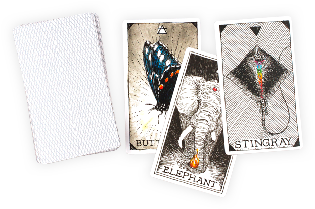 Animal Spirit Deck And Guidebook Boxed Set By The Wild - Collectible Card Game (647x647), Png Download