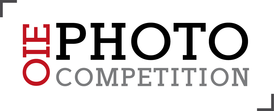 The World Organisation For Animal Healh Launches Today - Graphics (1157x470), Png Download