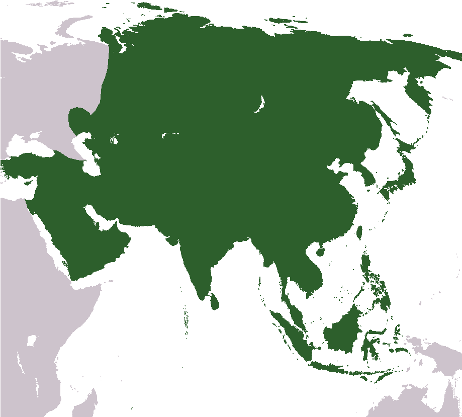 Asia Stub - Continent Of Asia Shower Curtain (924x924), Png Download