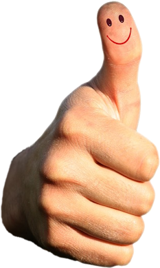 A Consent May Be Many Things - Merci Pouce En L Air (336x400), Png Download