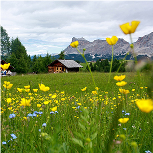 Small Thumb Sq V18 - Thumb (400x326), Png Download