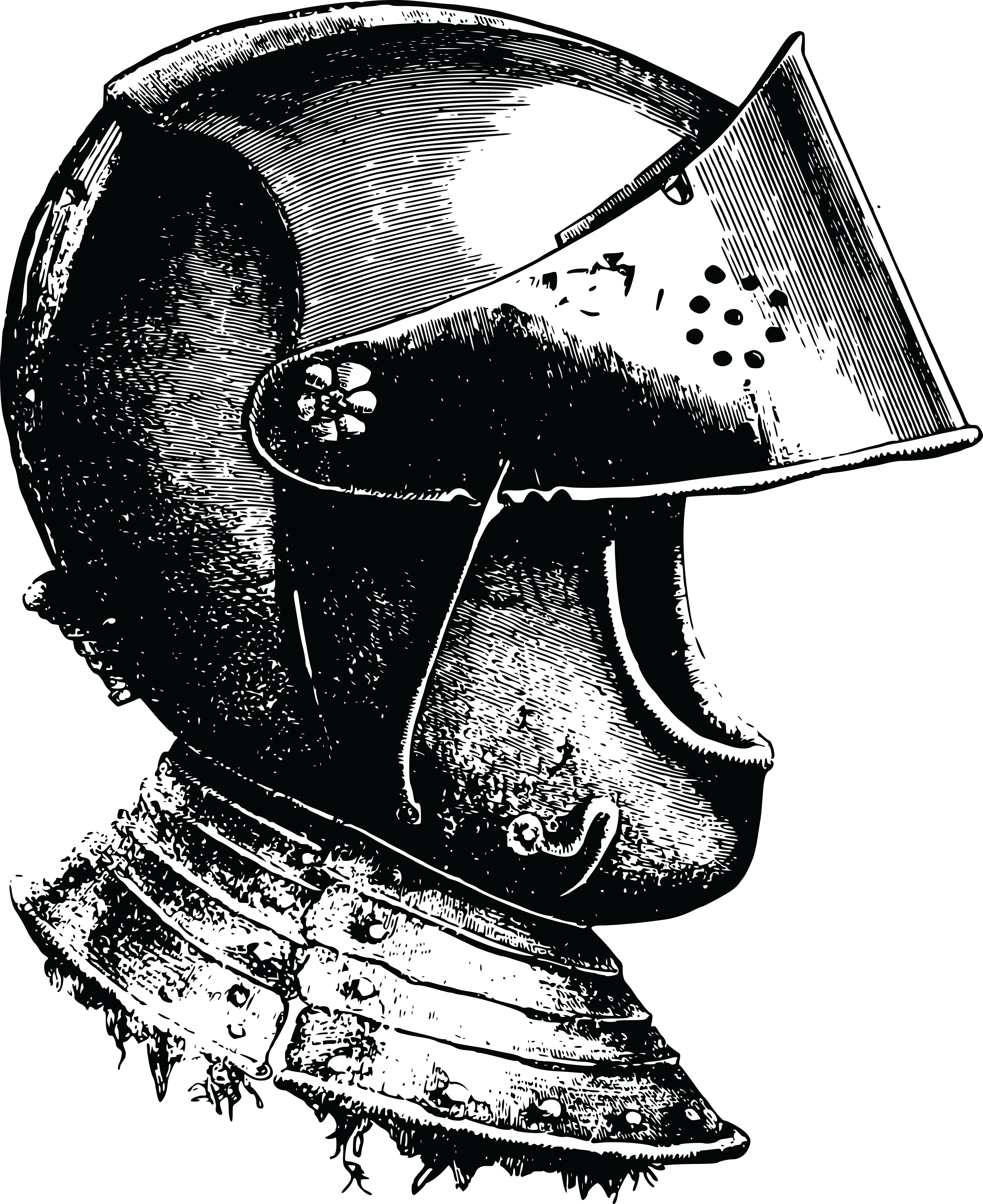This Free Icons Png Design Of Knight Helmet (1960x2400), Png Download