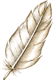 Featured Articles - Earrings (333x408), Png Download