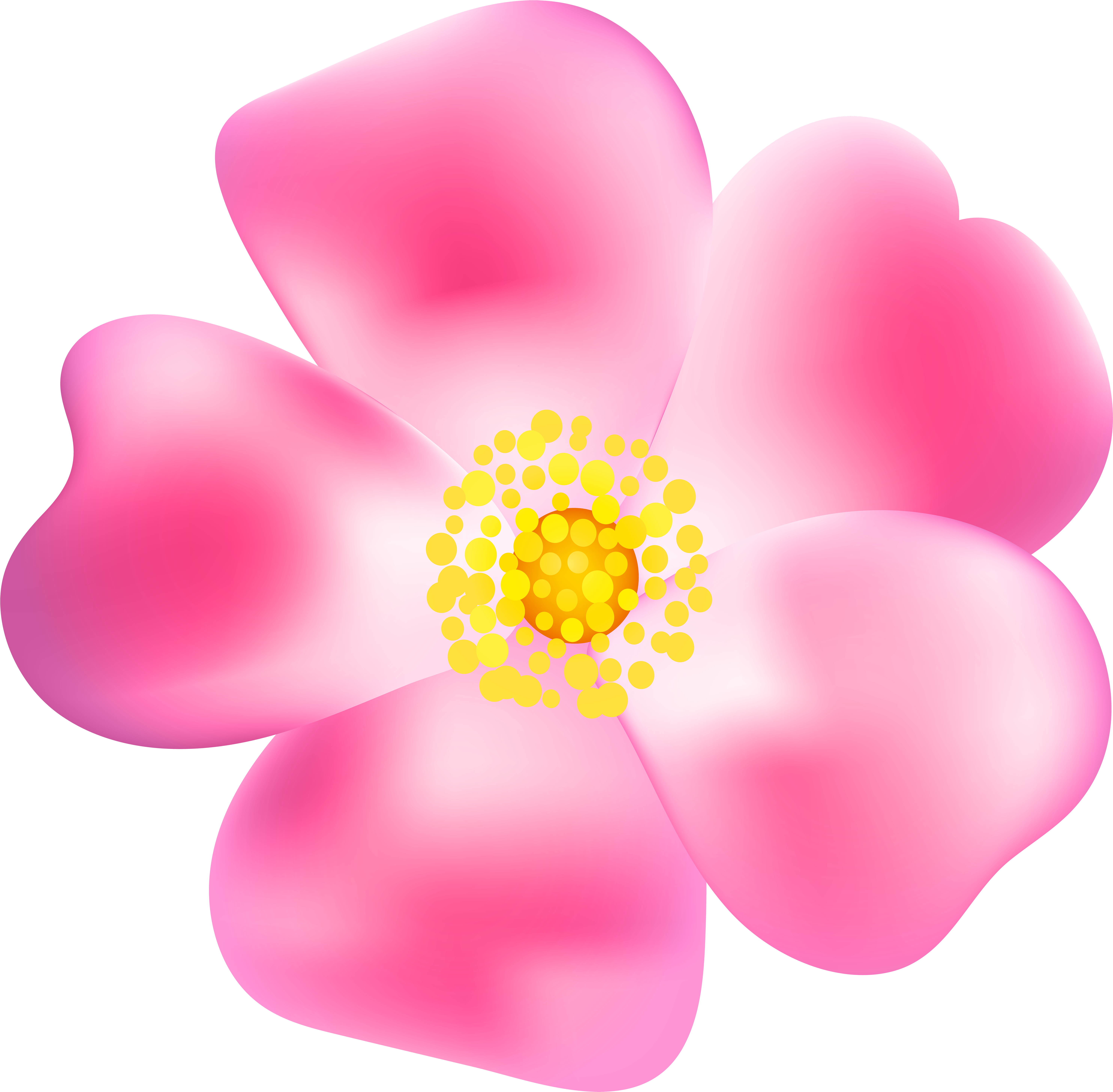 Pink Rose Blossom Png Transparent Clip Art Image - Portable Network Graphics (600x589), Png Download