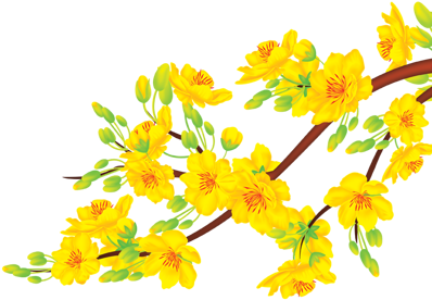Check Out This @behance Project - Yellow Apricot Blossom Vector (404x316), Png Download