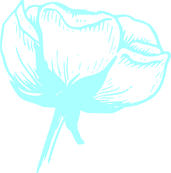 How To Set Use Light Blue Flower Blossom Clipart (588x595), Png Download