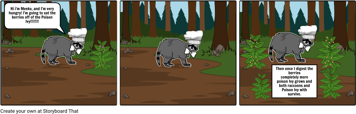 Racoon - Storyboard (1164x385), Png Download