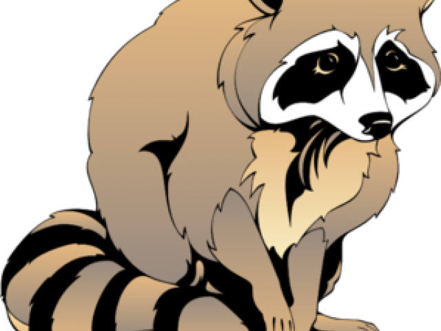 Racoon Clipart - Black And White Raccoon Clipart (640x480), Png Download