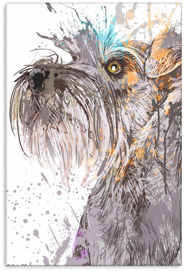 Schnauzer Canvas P005 - Schnauzer Portrait Art Hoodies Sweatshirts (900x900), Png Download