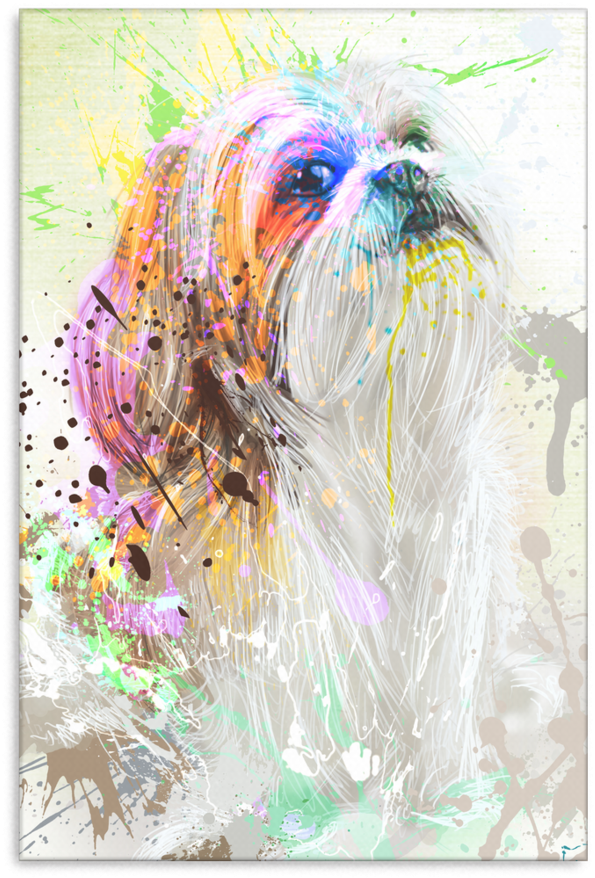 Shih Tzu Canvas P018 - Canvas (900x900), Png Download