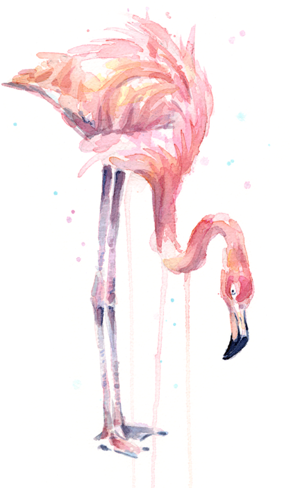 Vector Free Stock Illustration Watercolor Facing Left - Flamingo Painting Watercolor (452x700), Png Download