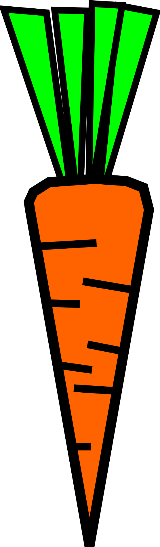 Carrot,citrus A,green, - Carrot Clip Art (500x1000), Png Download