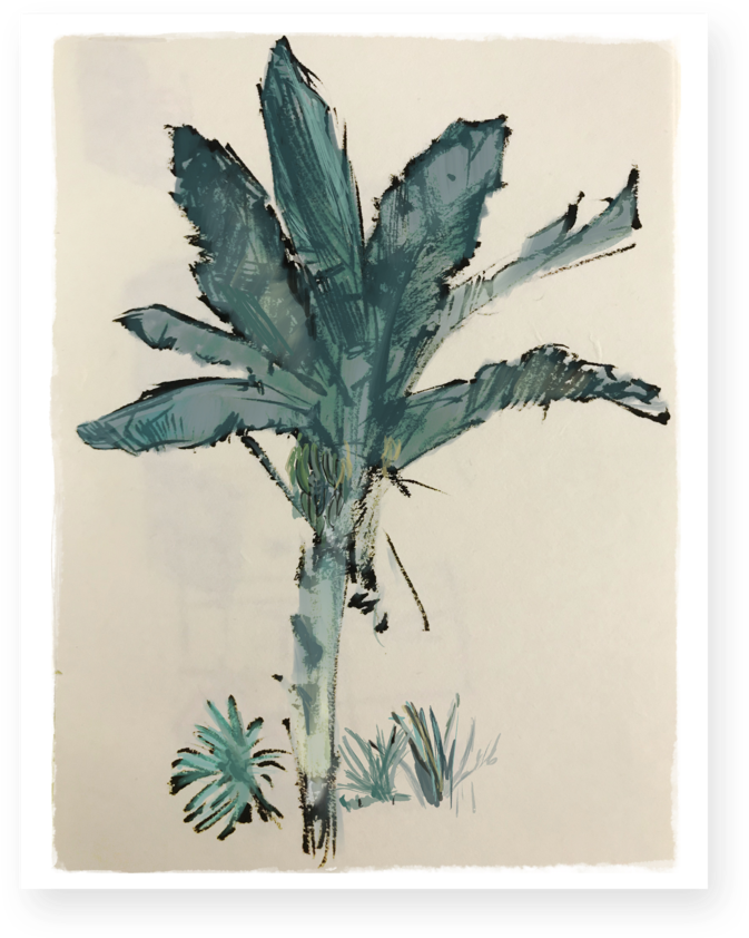 Download Banana Tree Full Size PNG Image PNGkit