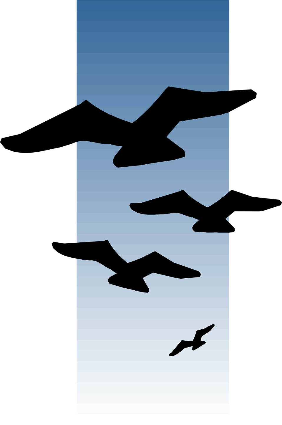 Flock Of Birds Clipart Distant - Birds In The Distance Drawing (958x1443), Png Download