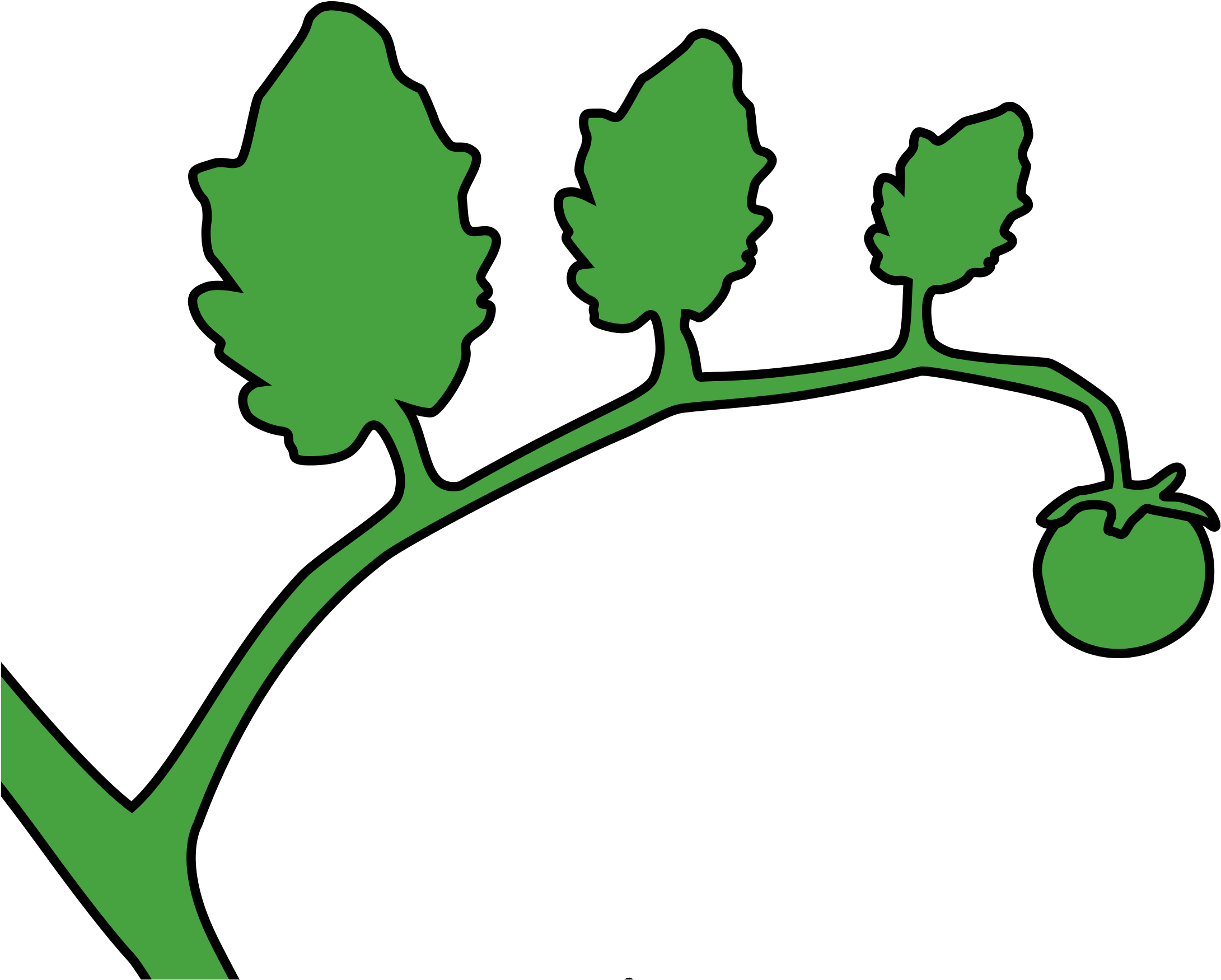 This Free Icons Png Design Of Green Tomato On A Vine (2400x1970), Png Download