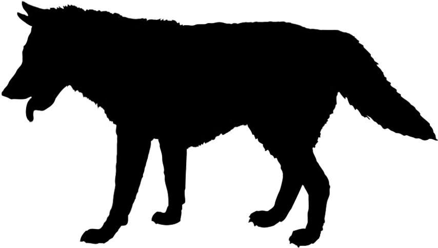 Wolf-silhouette - Silhouette (886x510), Png Download