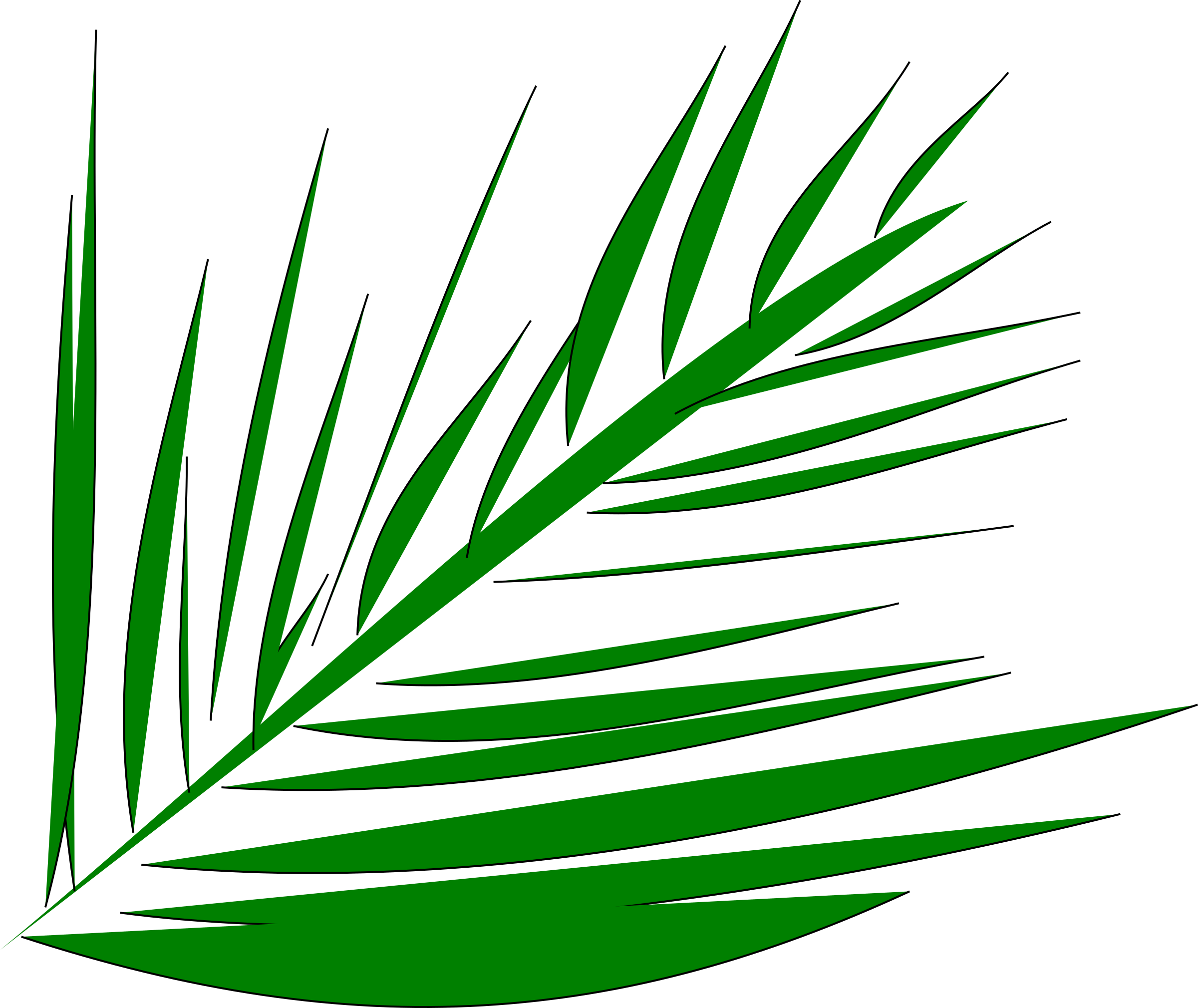 Big Image - Palm Leaves Transparent Clipart (2400x2019), Png Download