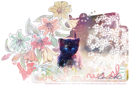4 Projects 25 Pieces - Stampsy Kwiatki (451x300), Png Download