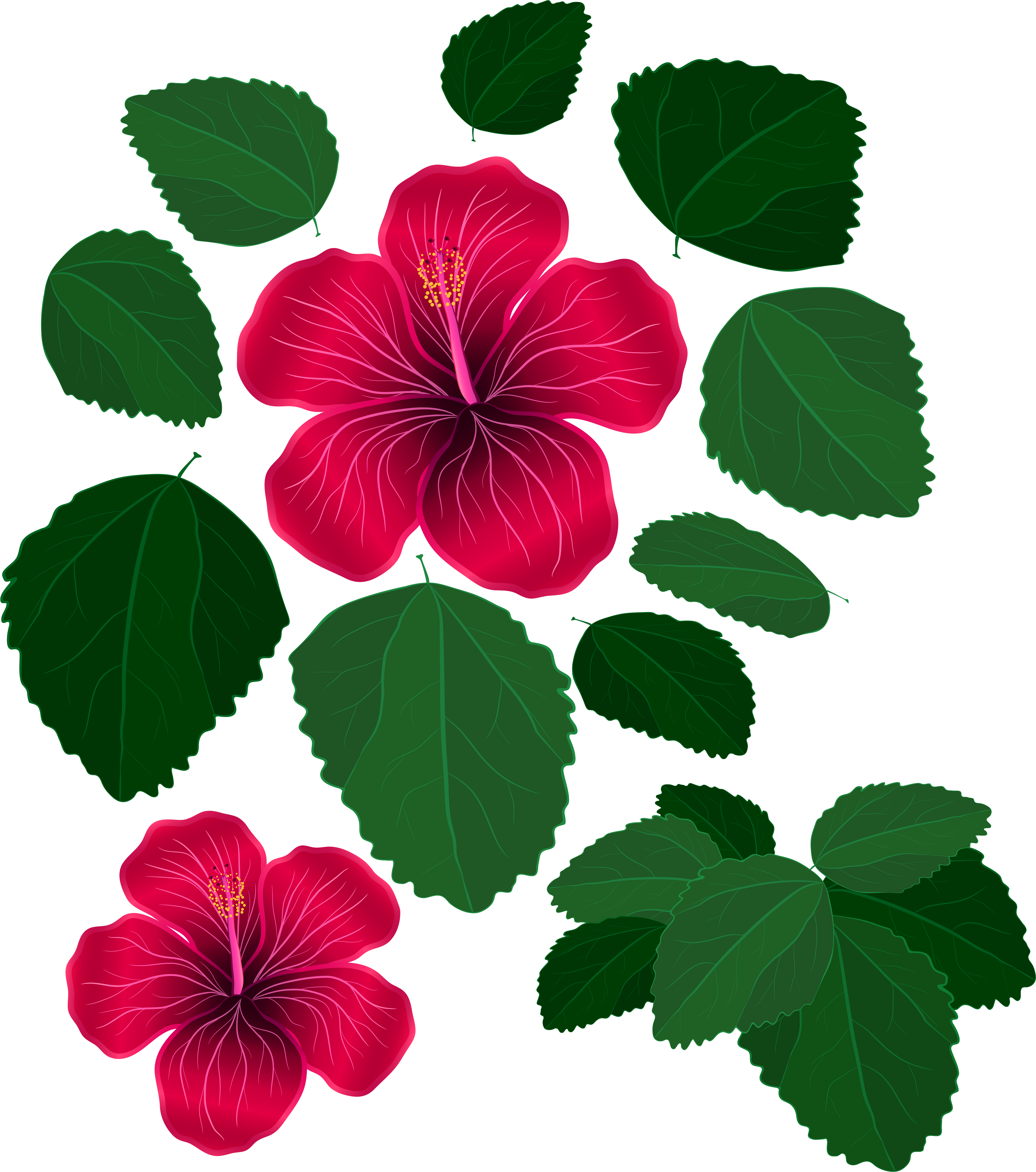 Svg Freeuse Library And Leaves For Decorations Transparent - Flowers And Leaves Png (5432x6180), Png Download