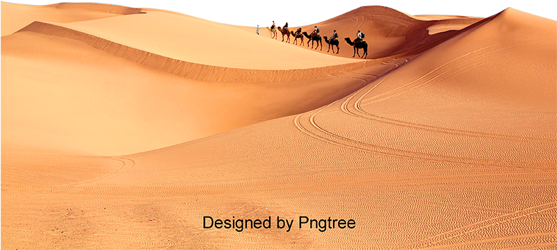 The Camel In The Desert, Camel, Desert, Free Matting - Camel (360x360), Png Download