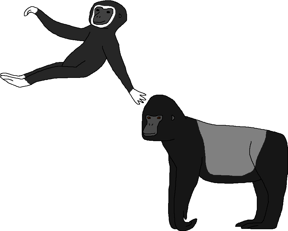 Svg Library Download Save The Of Apes - Gorilla (977x790), Png Download