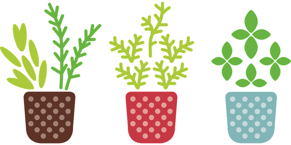 Free Image On Pixabay - Herb Png (960x480), Png Download