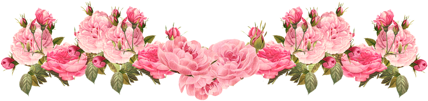 Pink Rose Clipart Rose Border 20 - Vintage Flower Border Png (1600x465), Png Download