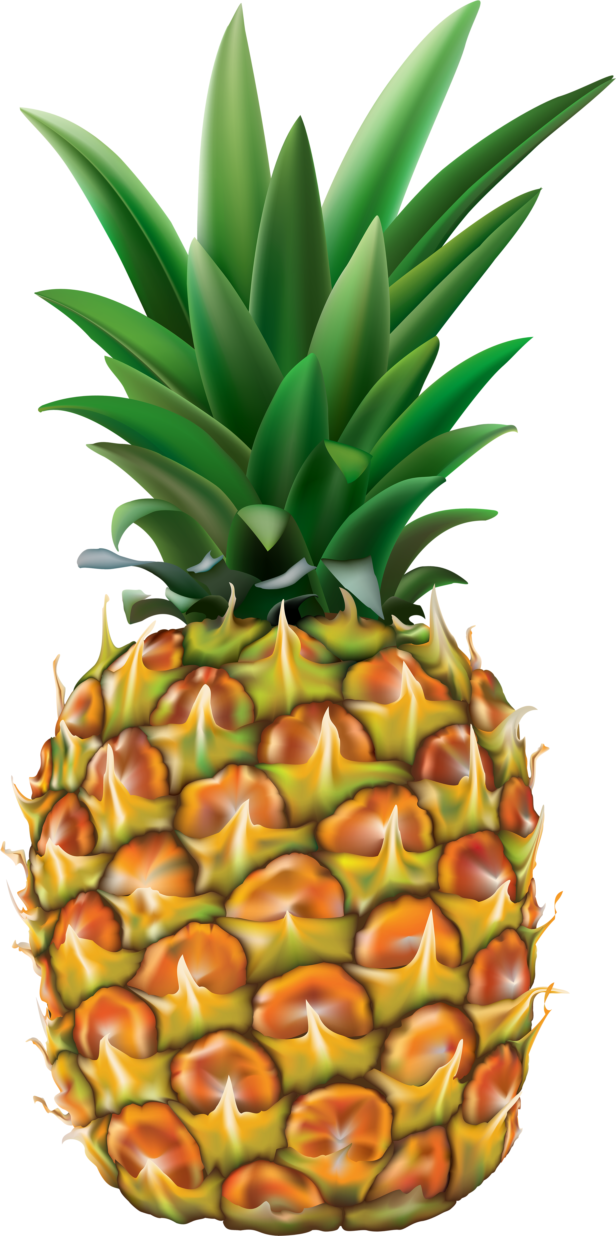 Png Clip Art Image Gallery Yopriceville View - Fruit Tropical (2472x5000), Png Download
