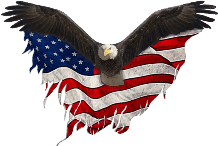 Usa Eagle Png Clip Library Download - Eagle United States Png (748x533), Png Download