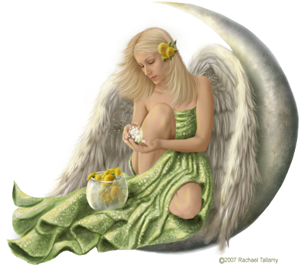 Angel Png For Free Download On - Png Transparent Angels (446x400), Png Download