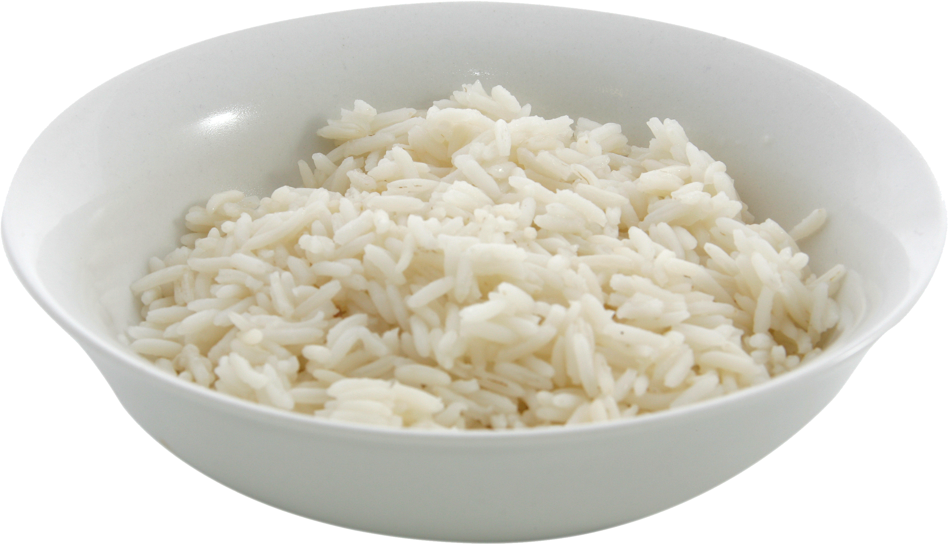 Download - Dog Rice (3119x1795), Png Download