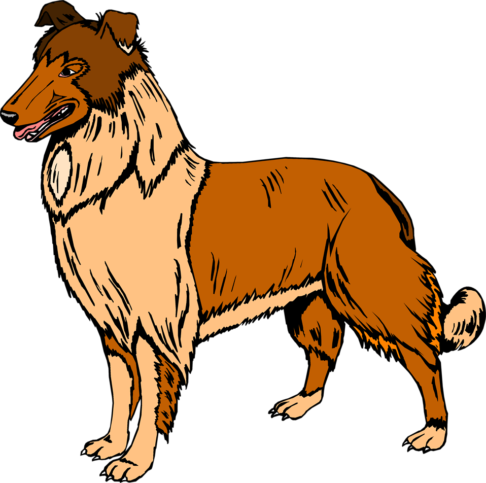 Collie Clipart Real Dog - Buff: A Collie And Other Dog Stories (958x952), Png Download
