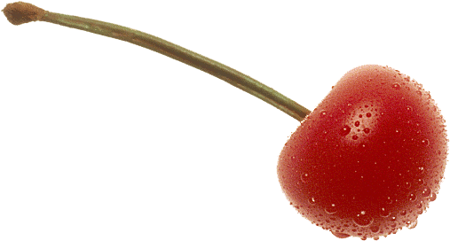 Cherry Png Images Free Download Pngmart Com - Cherry Png (517x286), Png Download