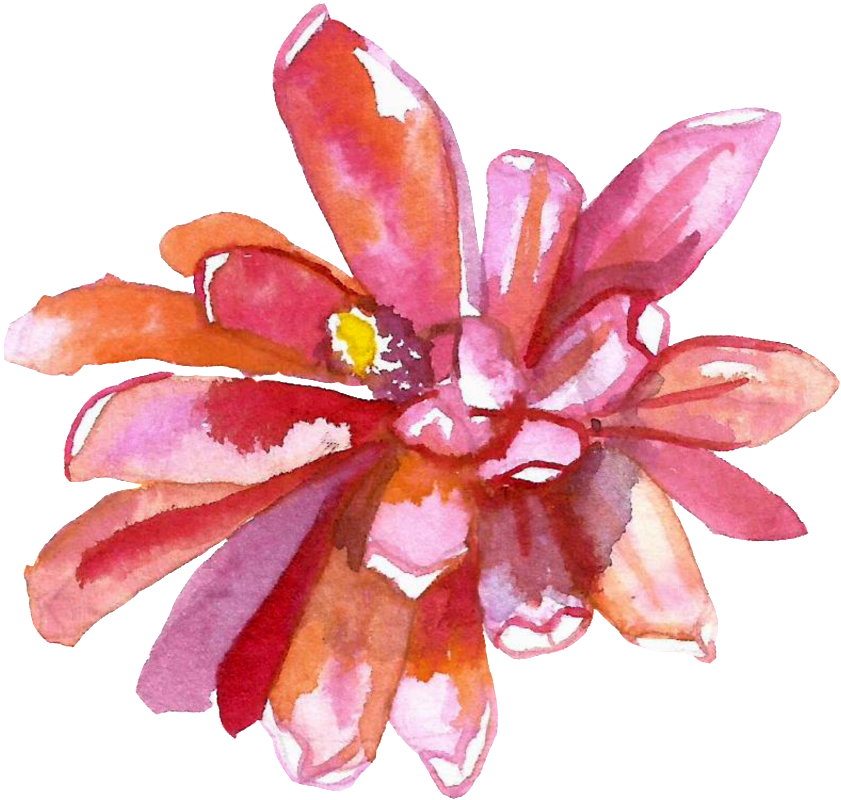 Red Watercolor Hand-painted Flowers Transparent - Watercolor Painting (1024x921), Png Download
