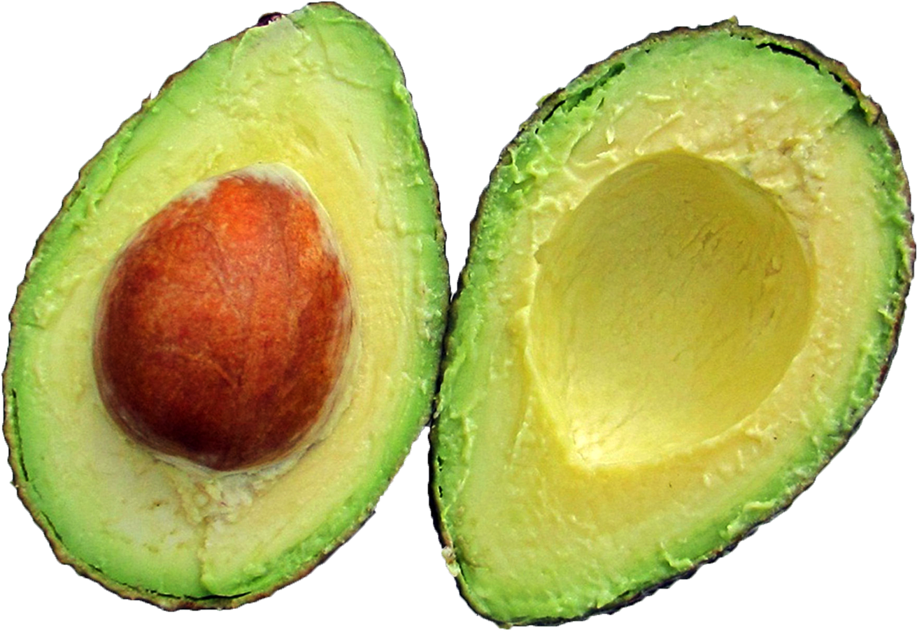 Avocado Png (1494x1059), Png Download