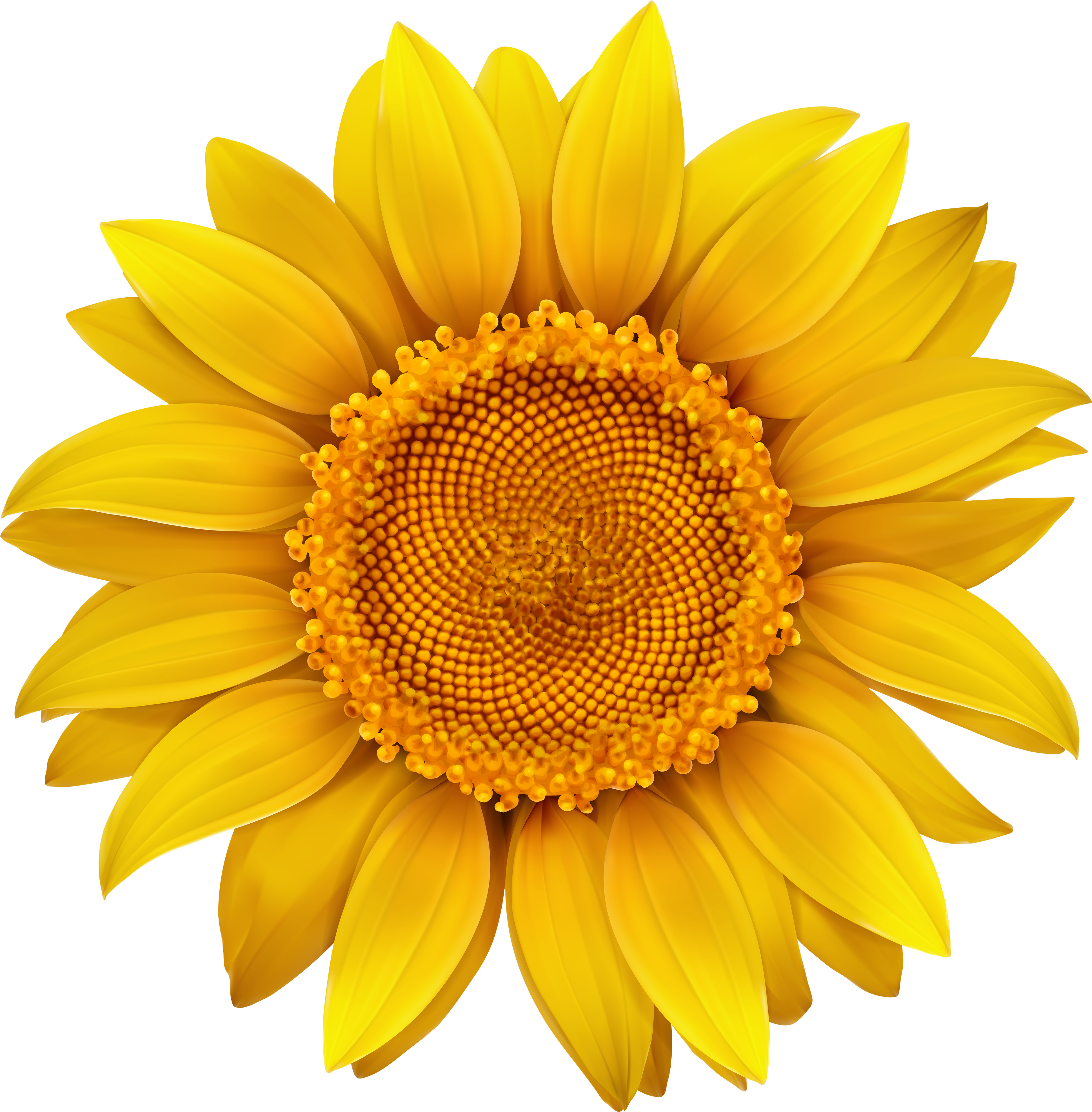 You Are Happy I Am Happy (3926x4000), Png Download