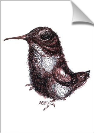 Weirdo Bird - Wren (674x516), Png Download