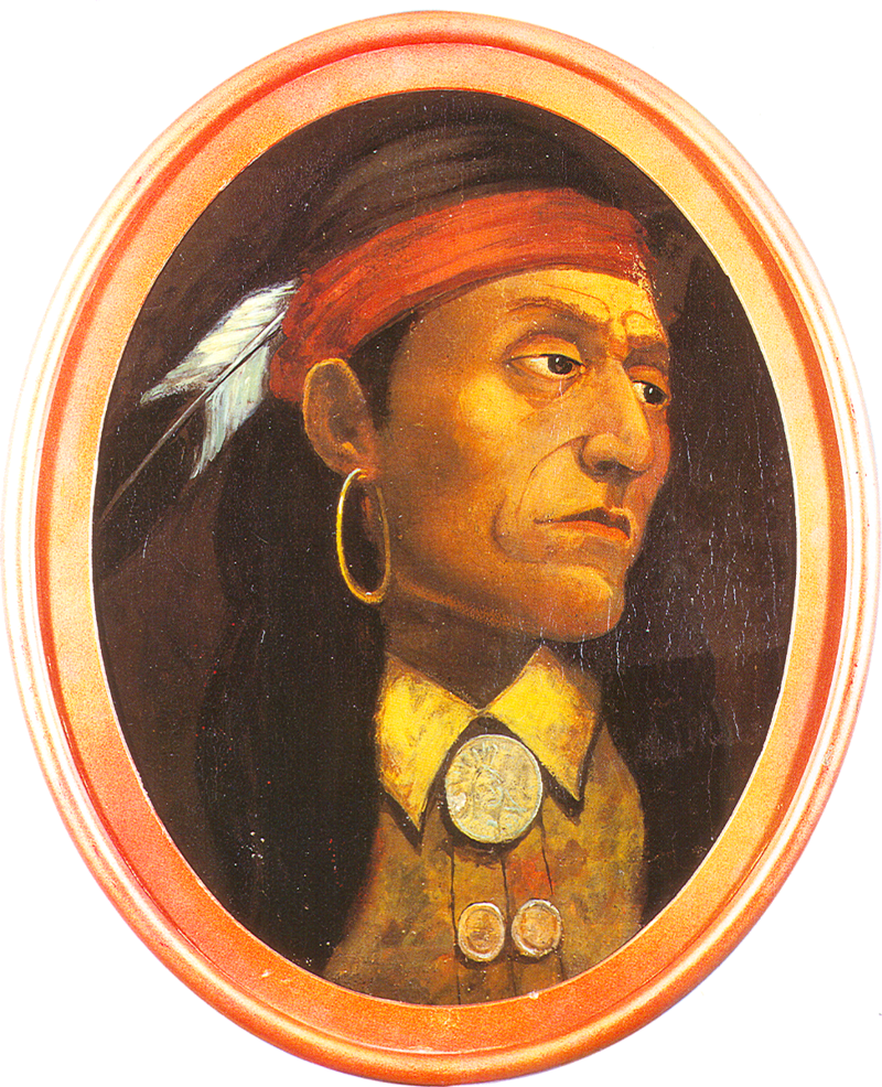 Artist John Mix Stanley's Imaginary Rendering Of Pontiac - Pontiac Native American (800x986), Png Download